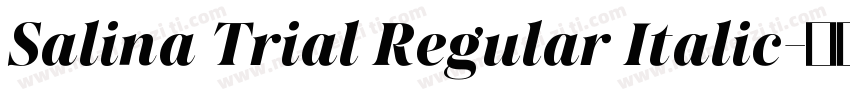 Salina Trial Regular Italic字体转换